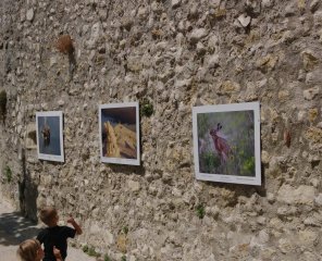 Photos place du Portail