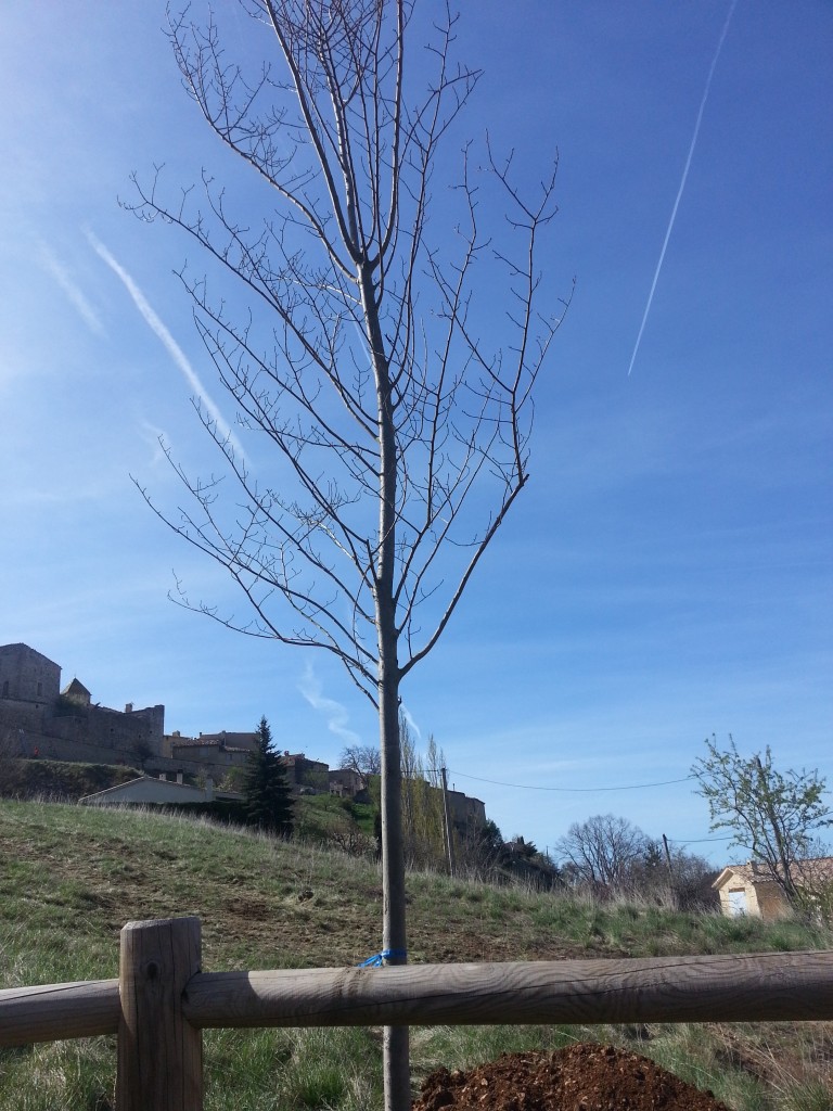 aire-de-jeux-aurel (2)