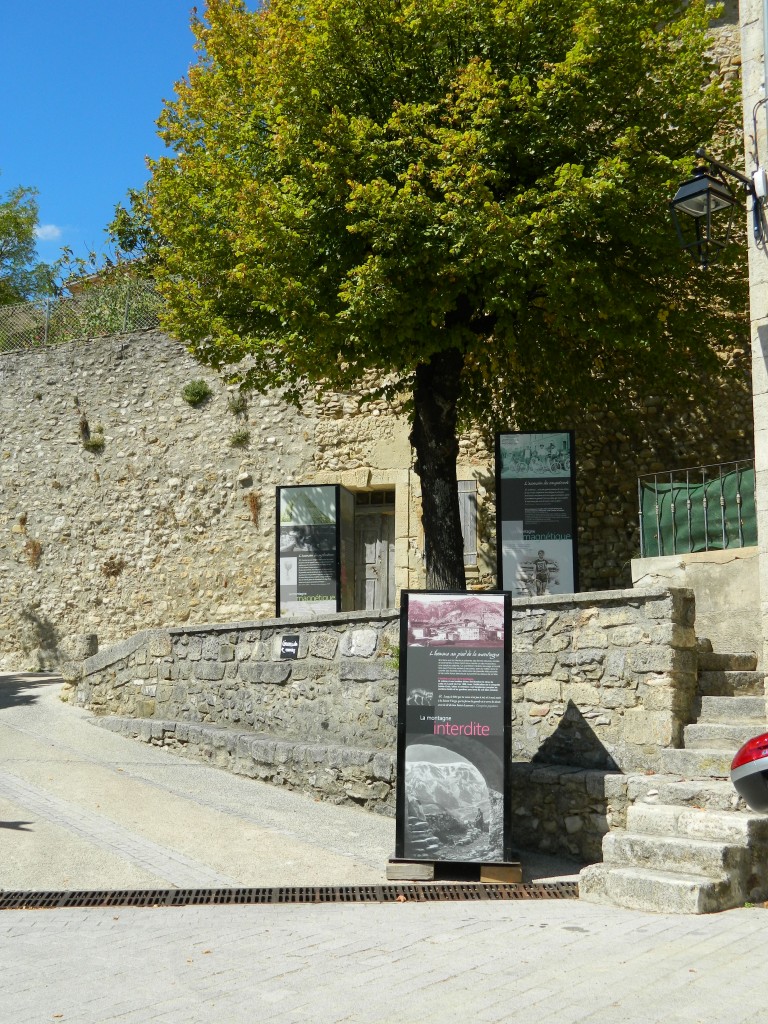 DSCN3229