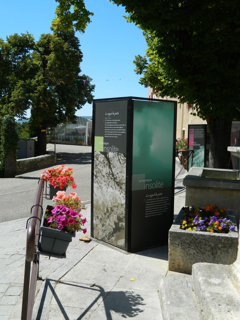 DSCN3230