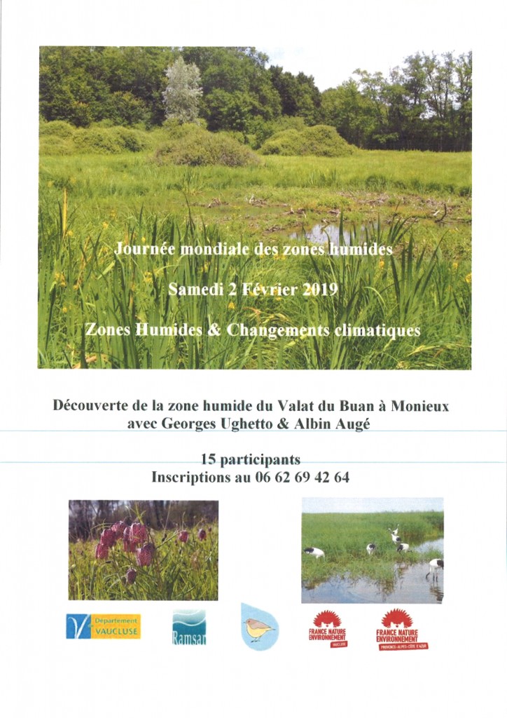 20190129131210_00001